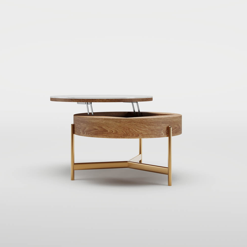 POVISON Lift-Top Coffee Table with Storage Sintered Stone 80cm